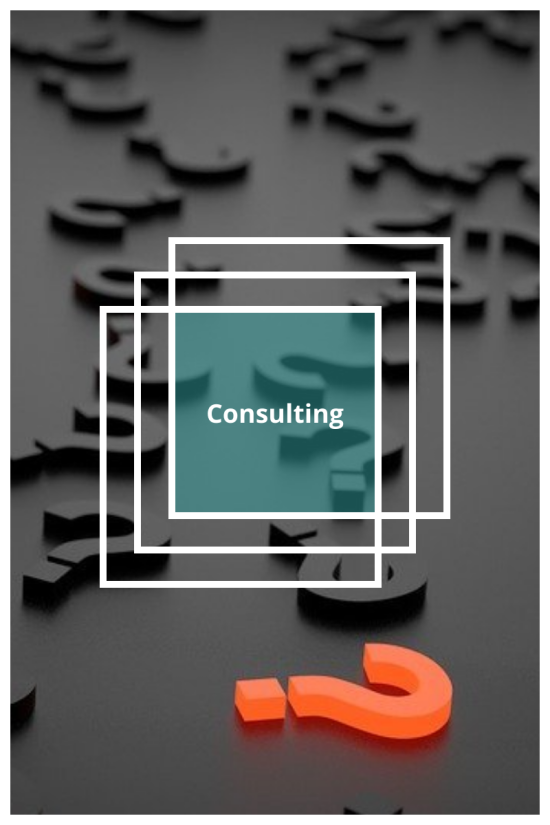 Consulting Banner 01